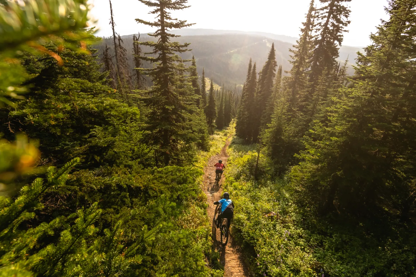 Two mountain bikers ride down a mountain