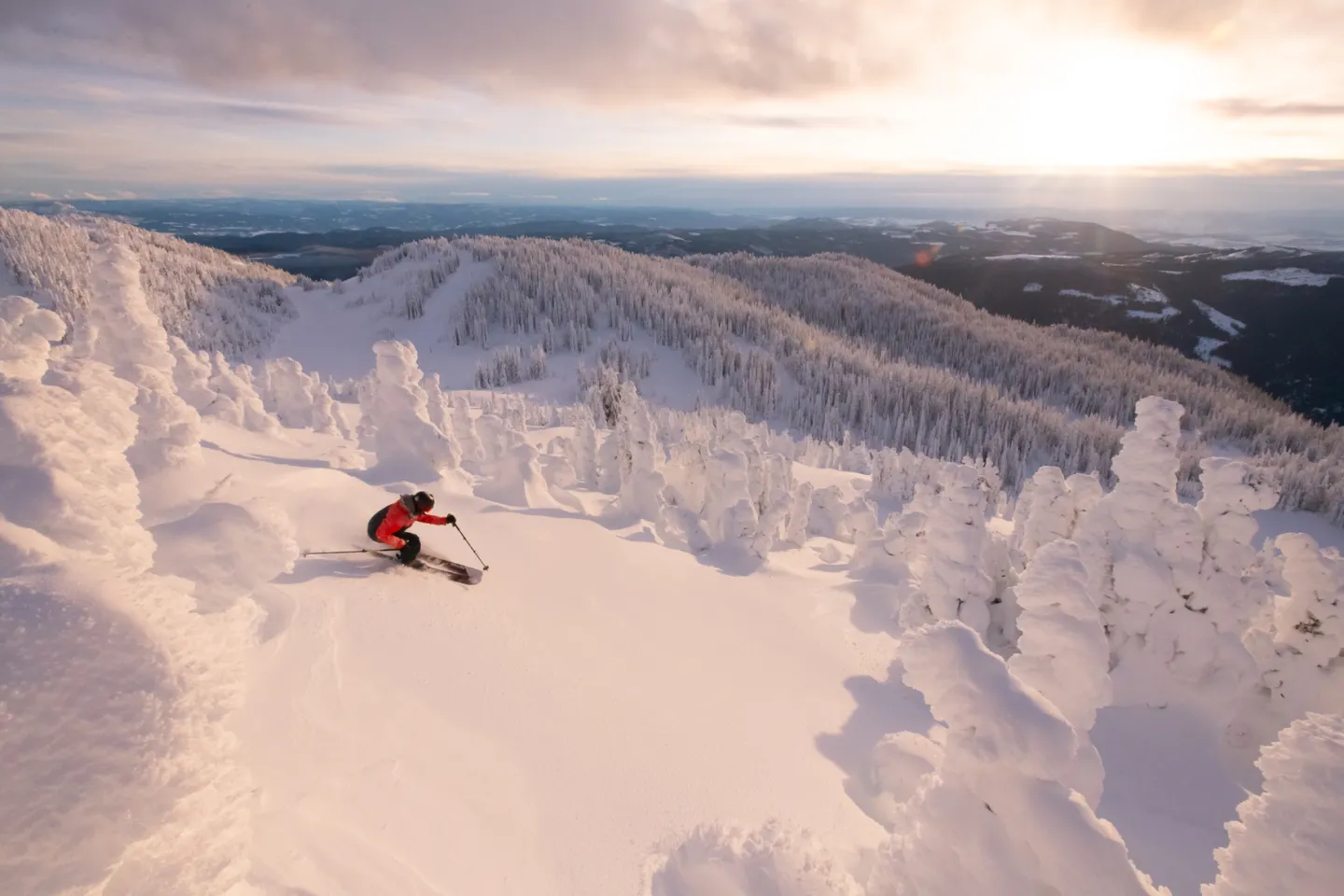 A skiier rides through powder and snow covered trees with the sun setting in the background
