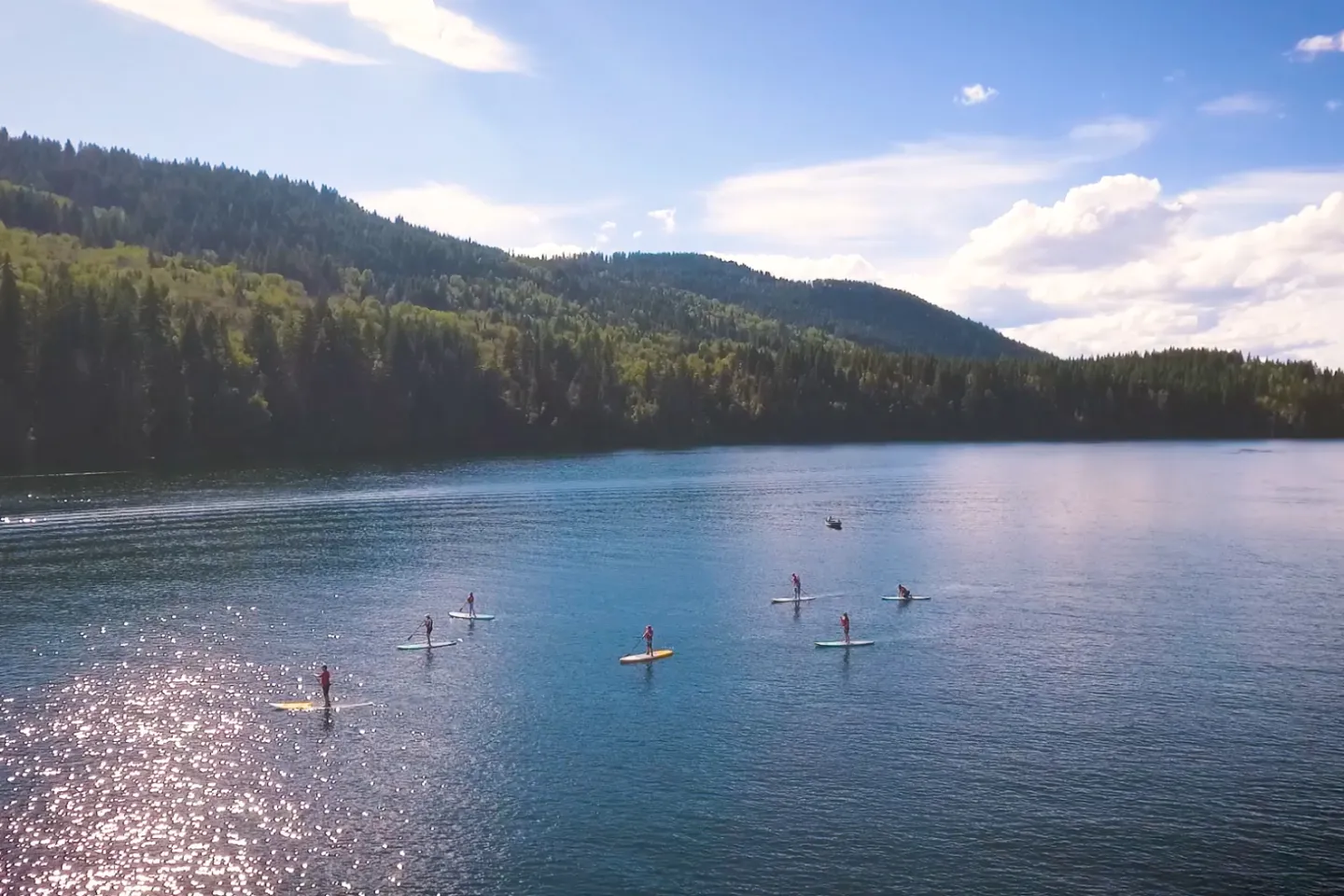 A view of seven paddleboarders on a lake in summer