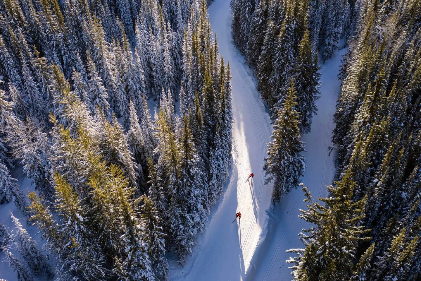 Aerial shot over cross country ski trails