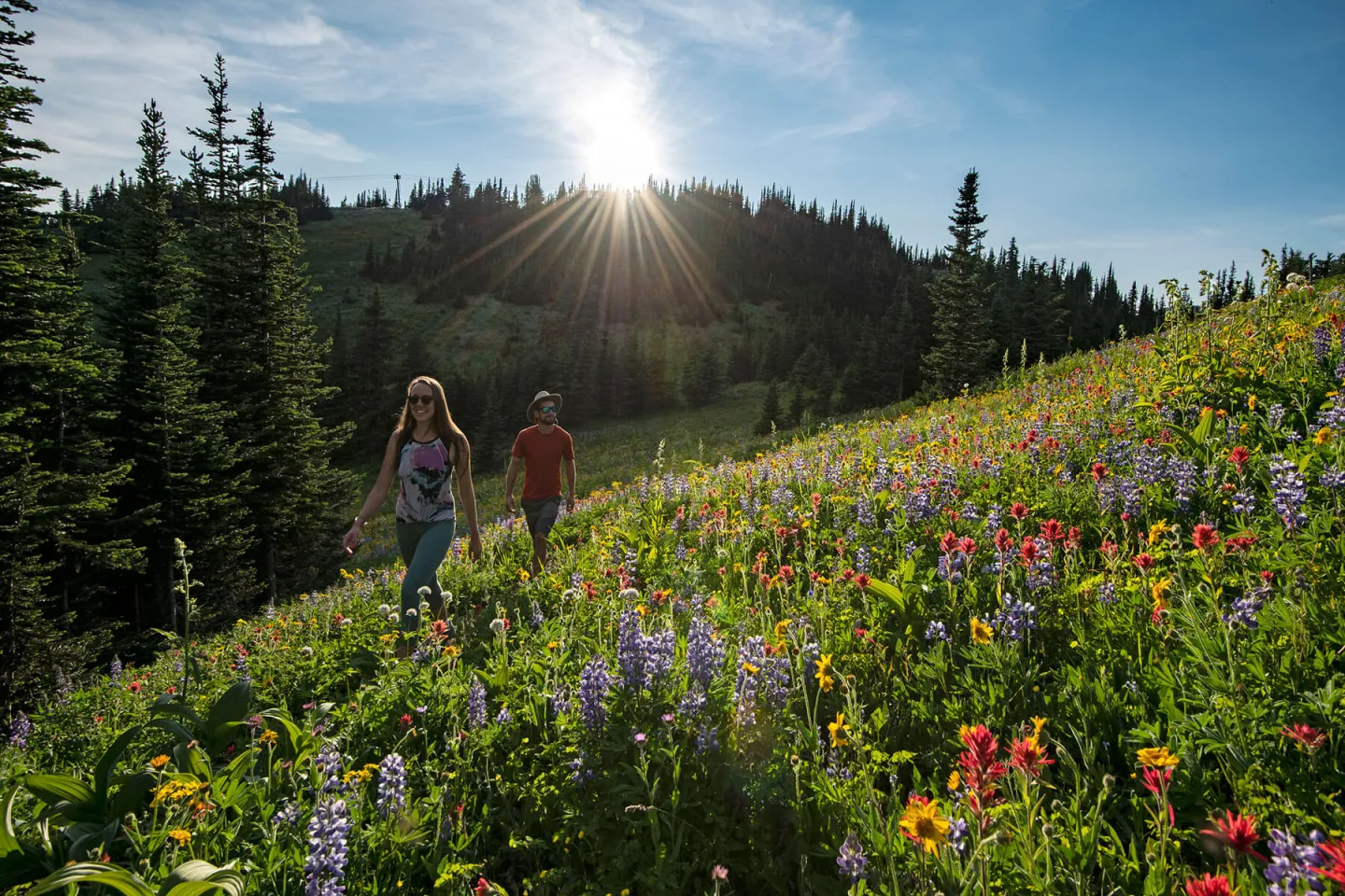 Man and women walking through alpine wild flowers