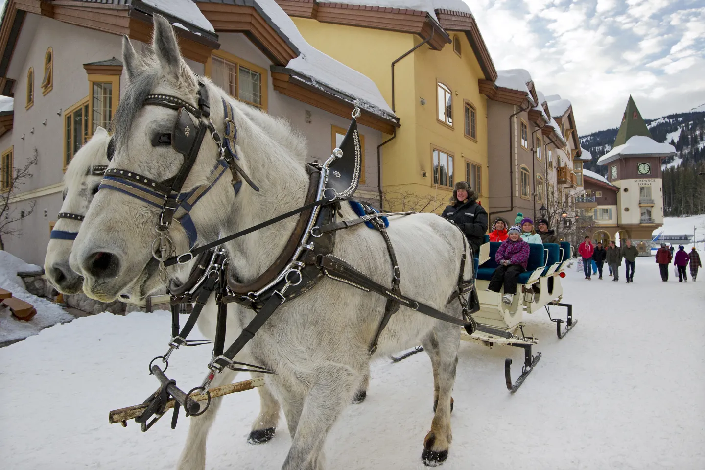 Family on a horse drawn sleigh through Sun Peaks village