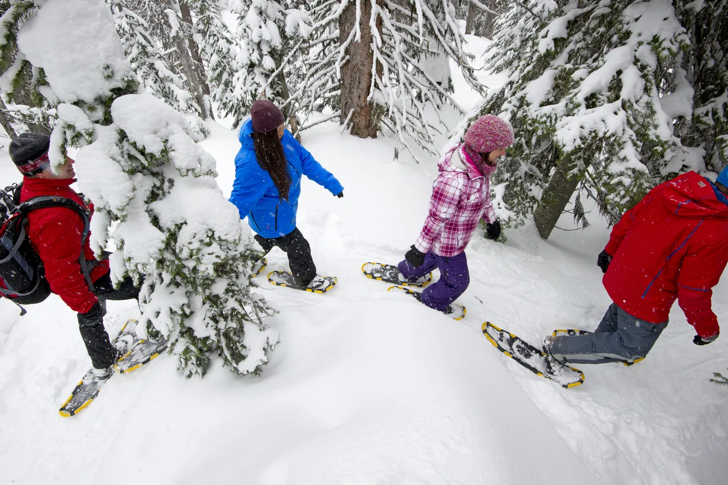 Group of people snow shoeing through the forest