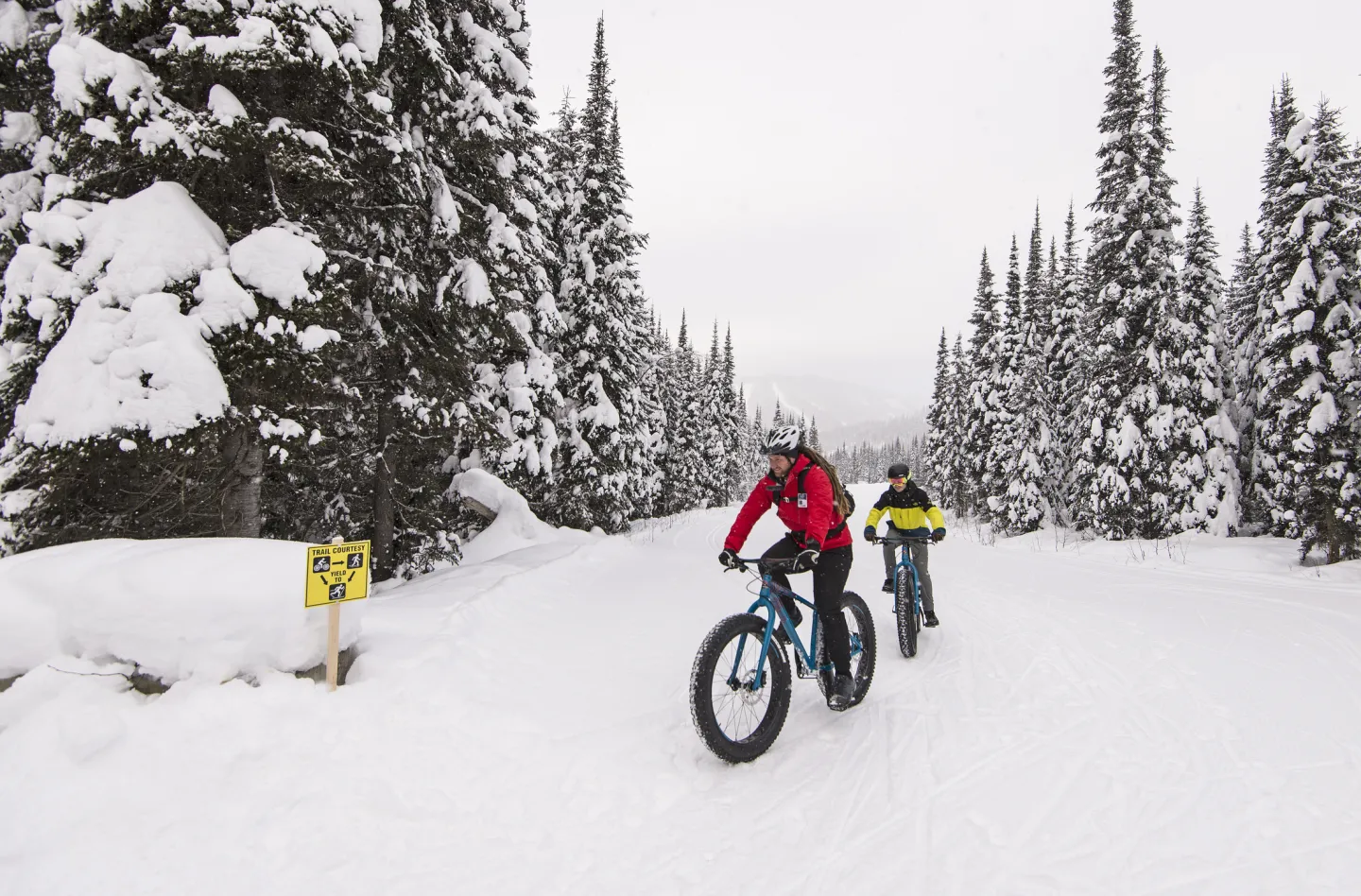 Two people riding fat bikes on a snow covered road