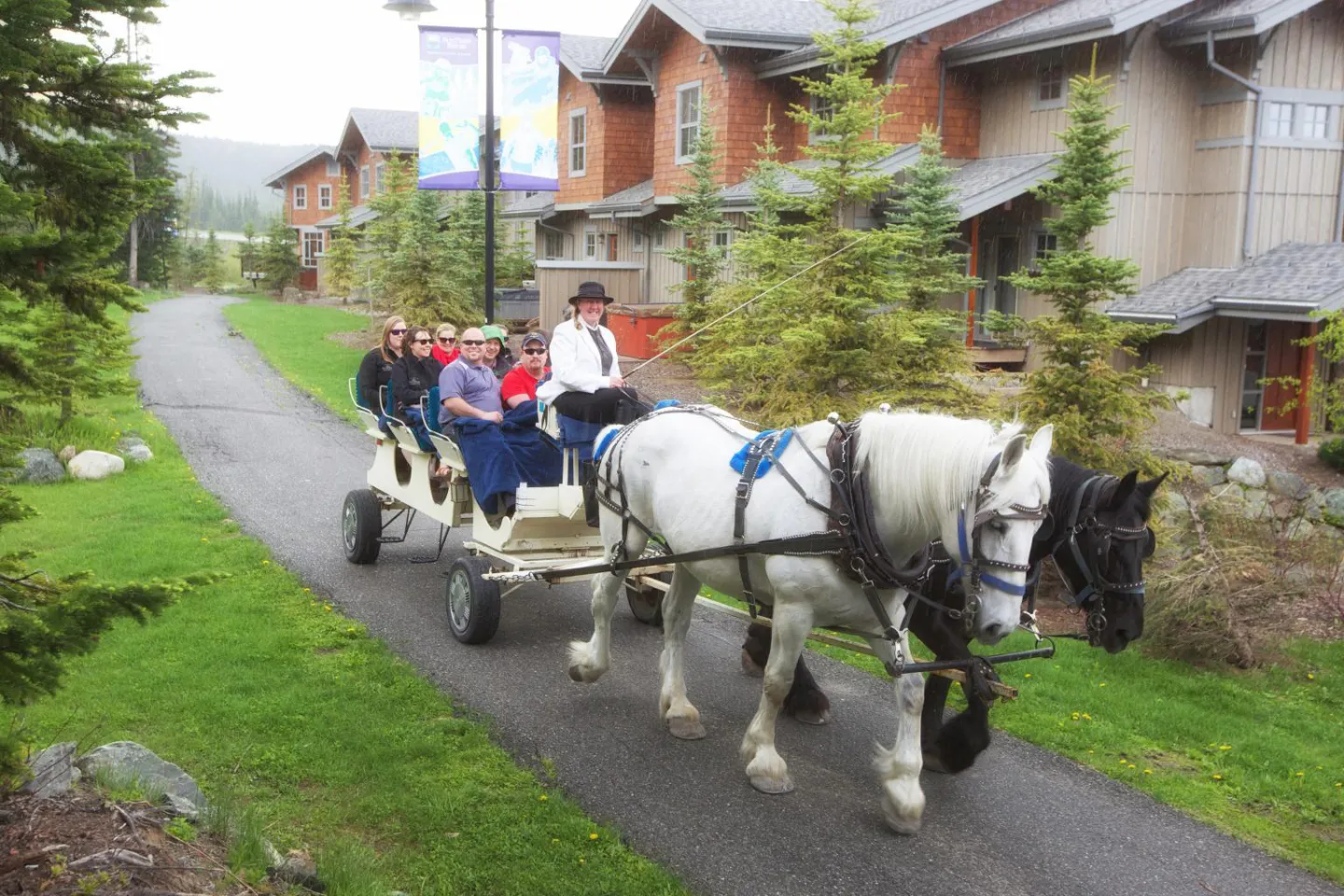 Group in a horse drawn cart