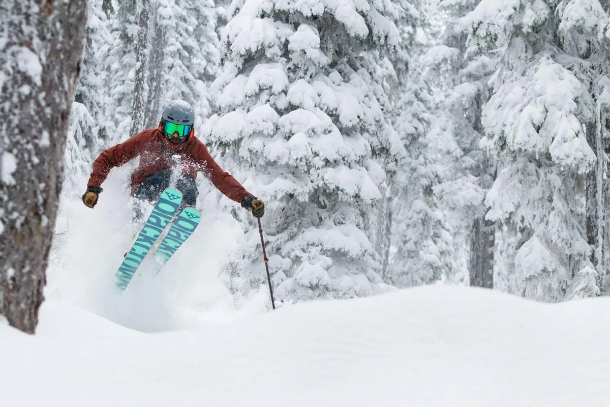 Skier in powder skiing in the trees