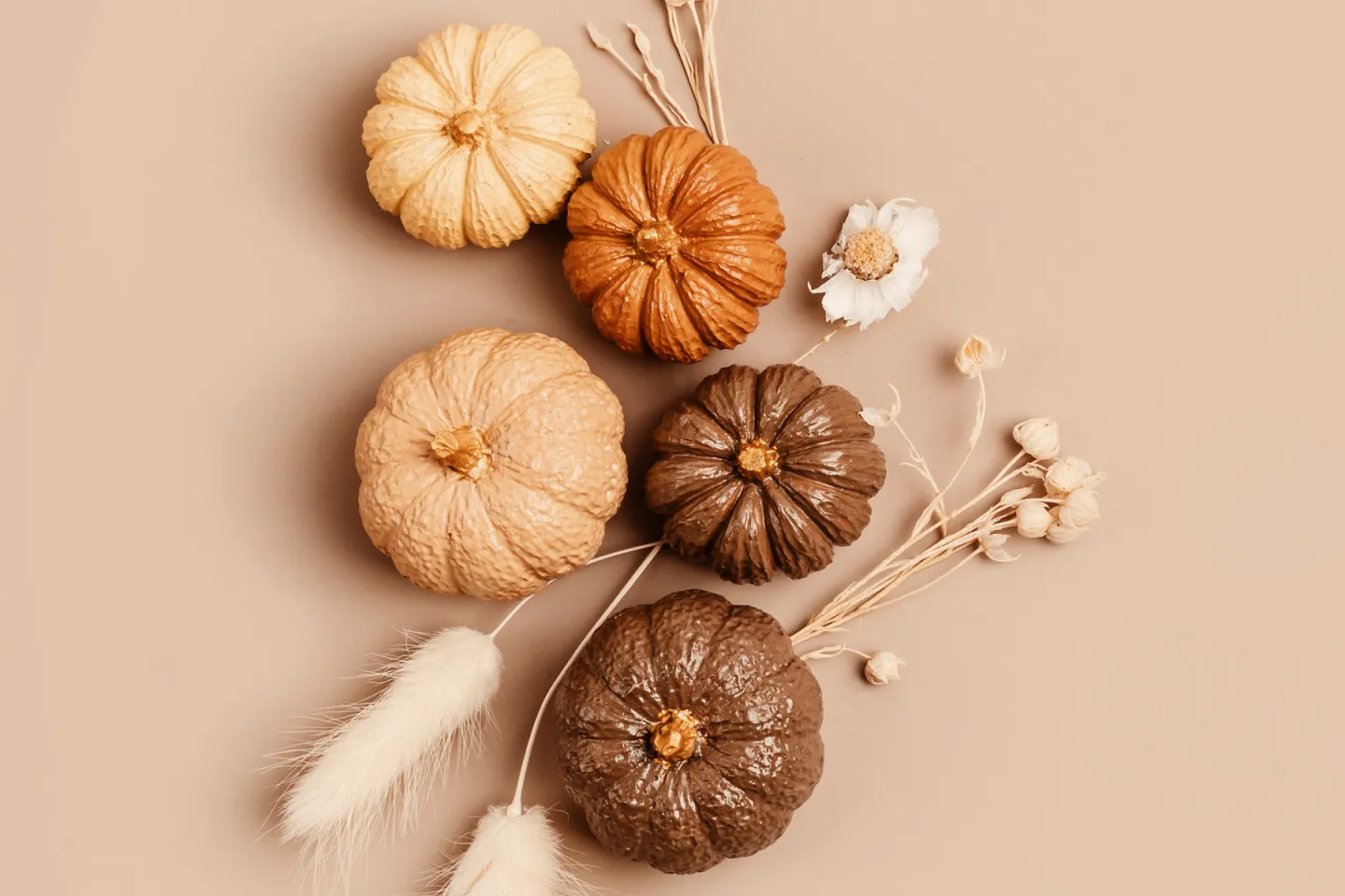 Colourful pumpkins