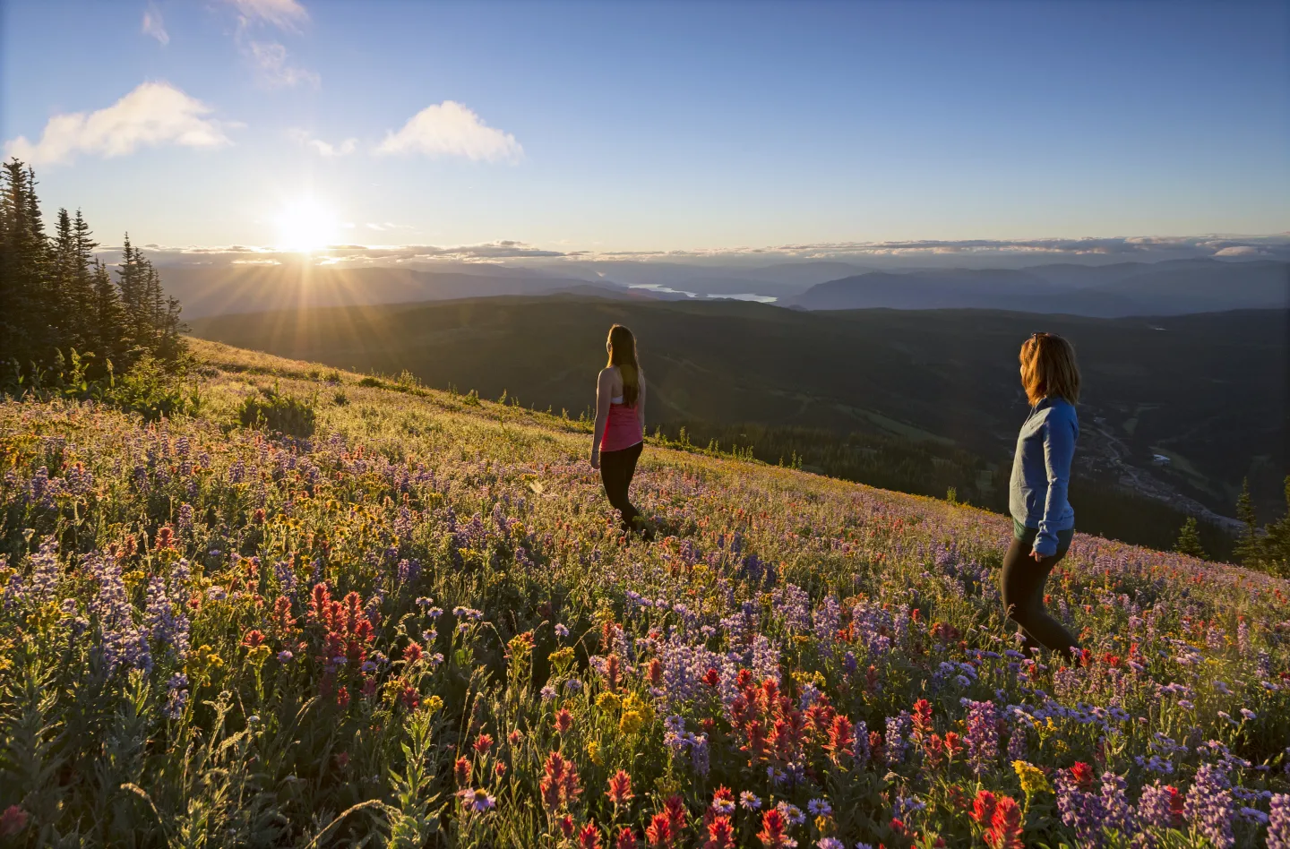 Two people walking in a field of flowers at sunset with mountain views