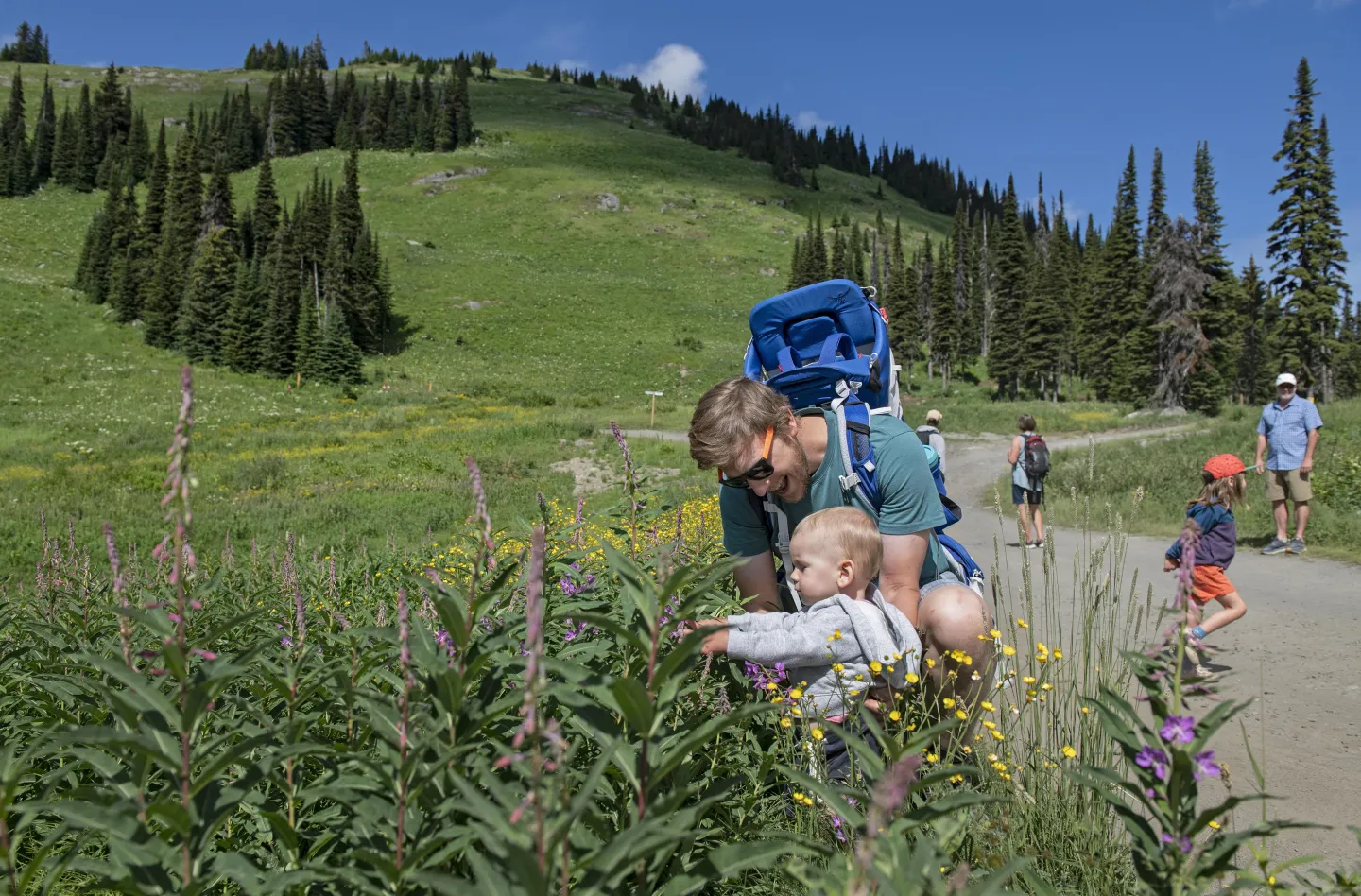 a dad and his daughter looking at wildflowers with the mountain in the back
