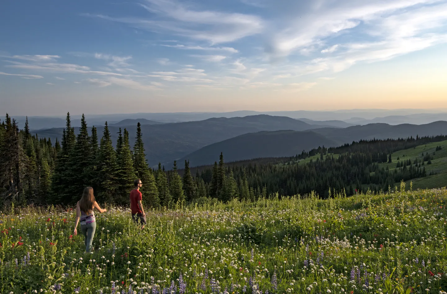 Two people walking in a field of flowers at sunset with mountain views