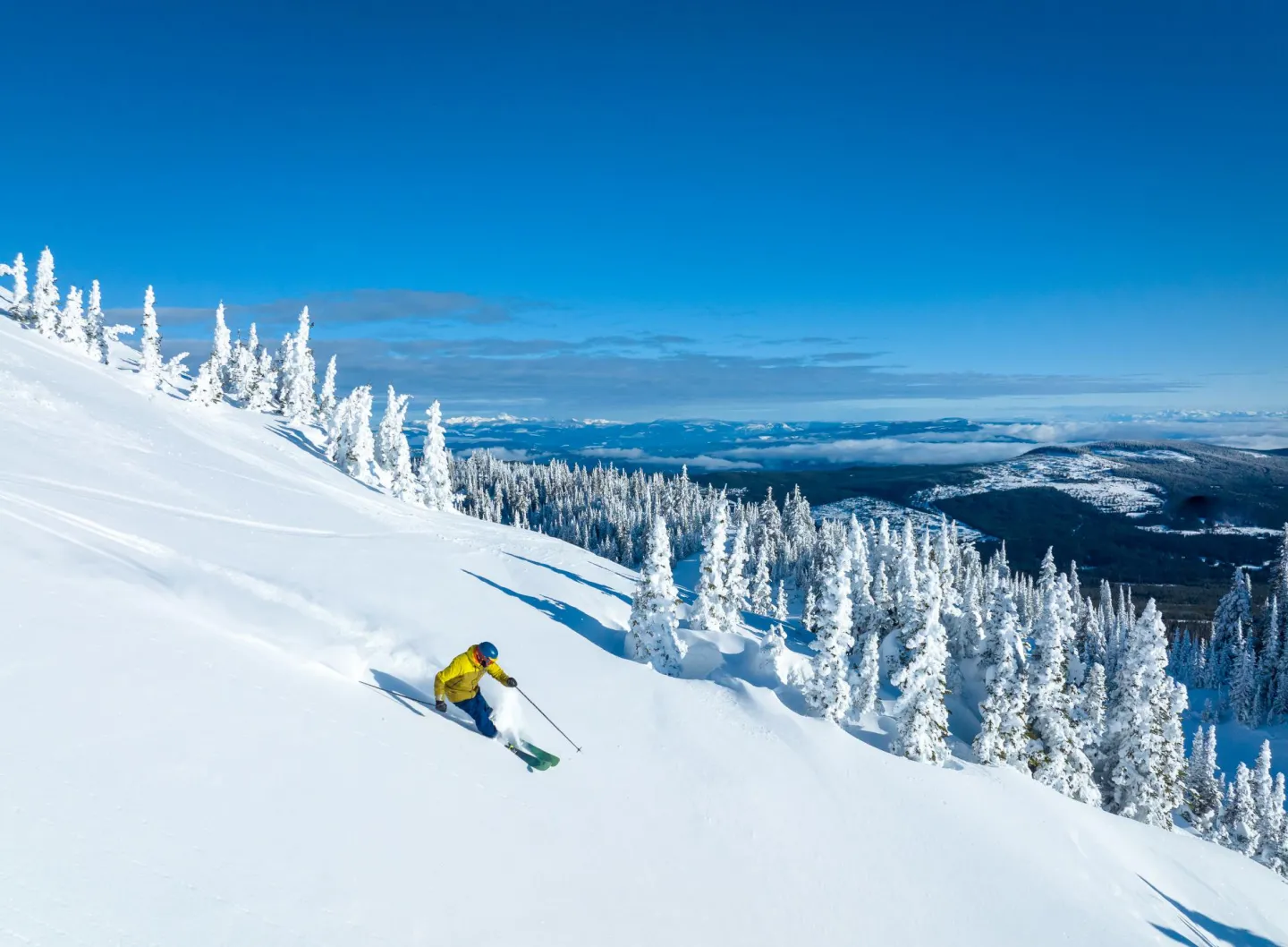 Skier in powder