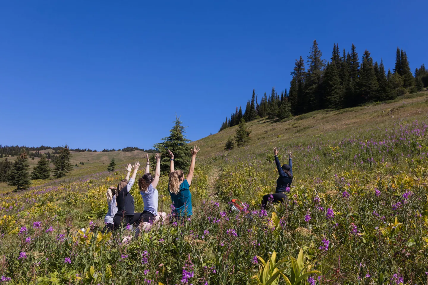 A group of women practicing yoga in the alpine with flowers around them