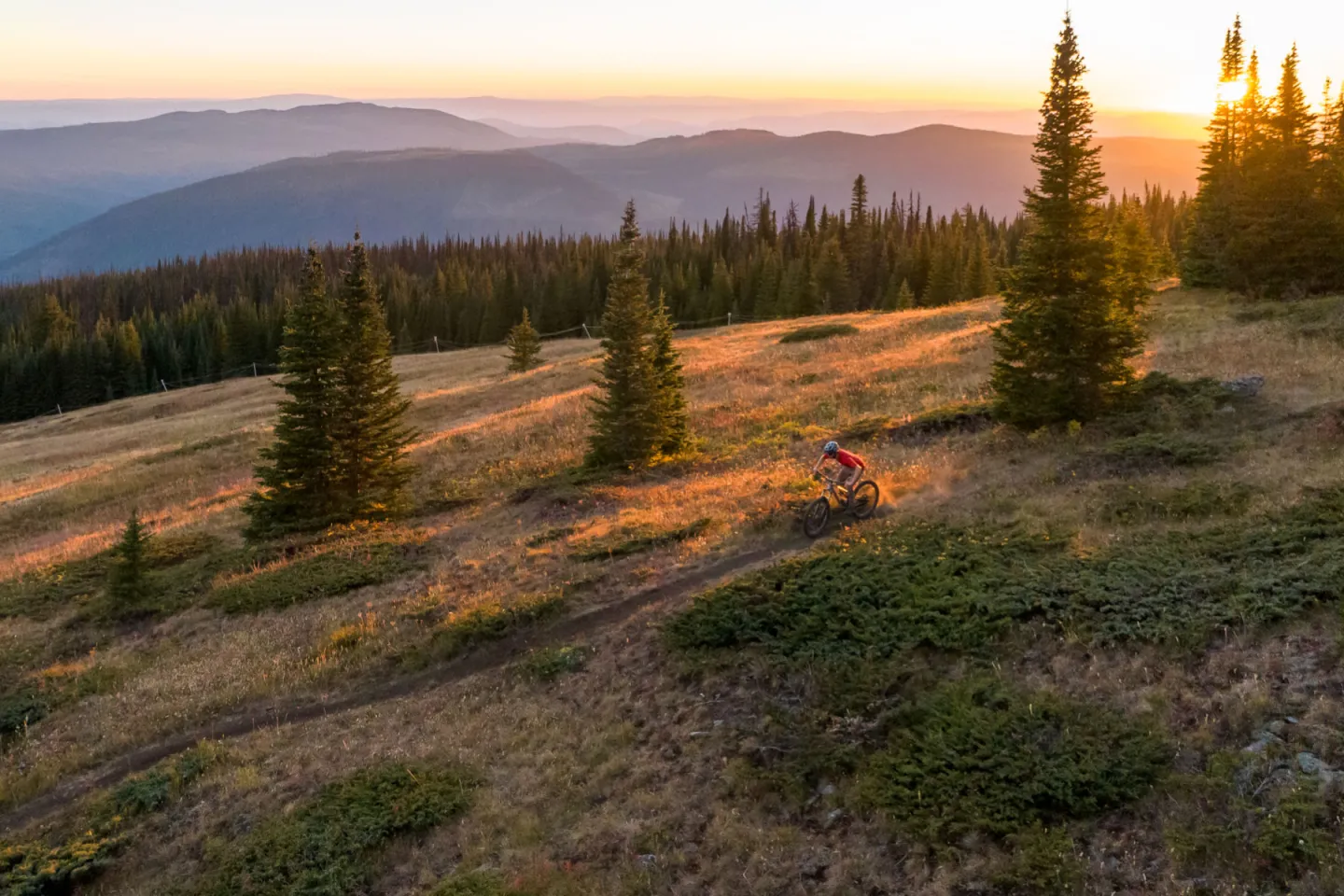 Biker riding down a trail with sunlight shining in behind him and trees around him