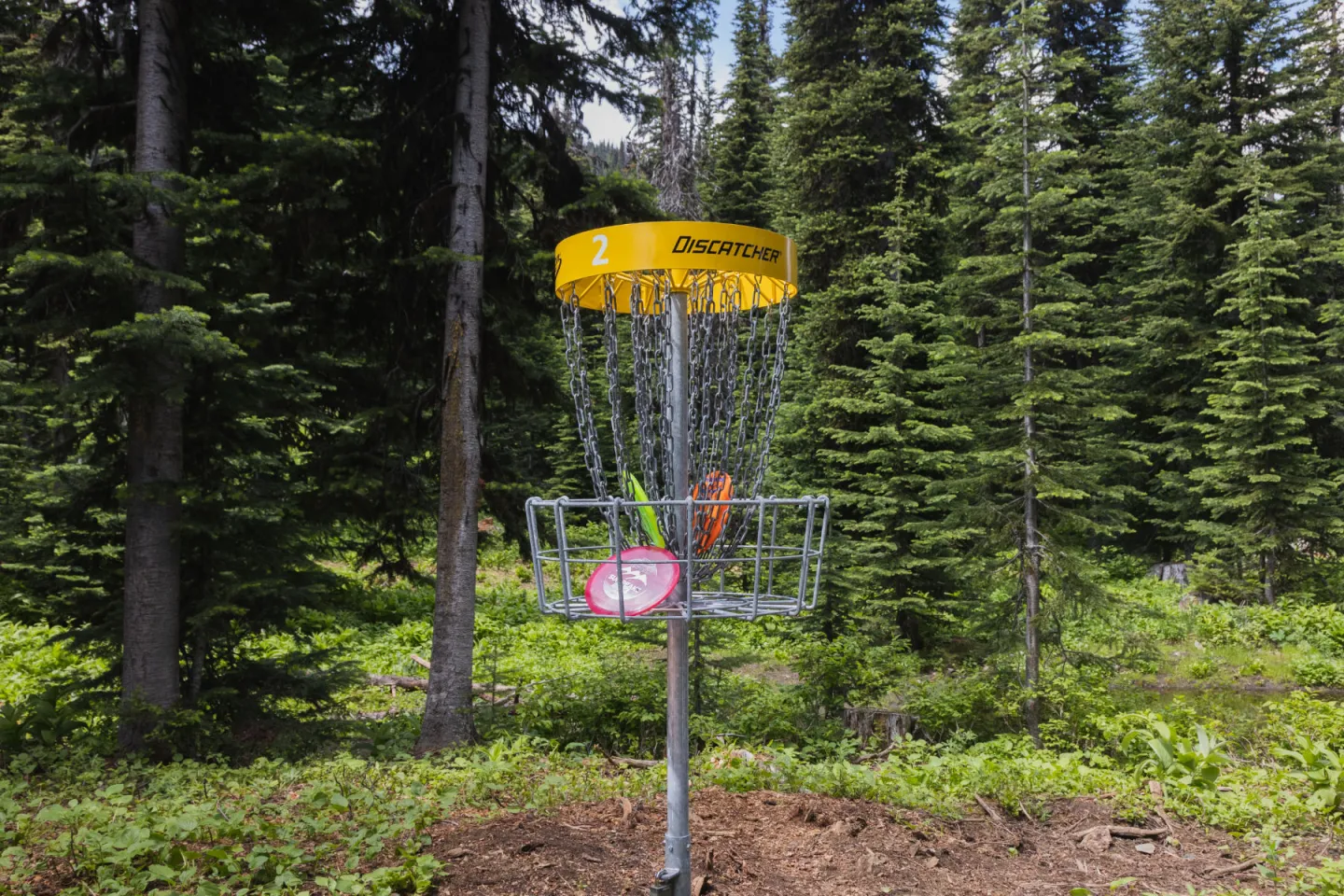 Disc Golf stand with trees around it