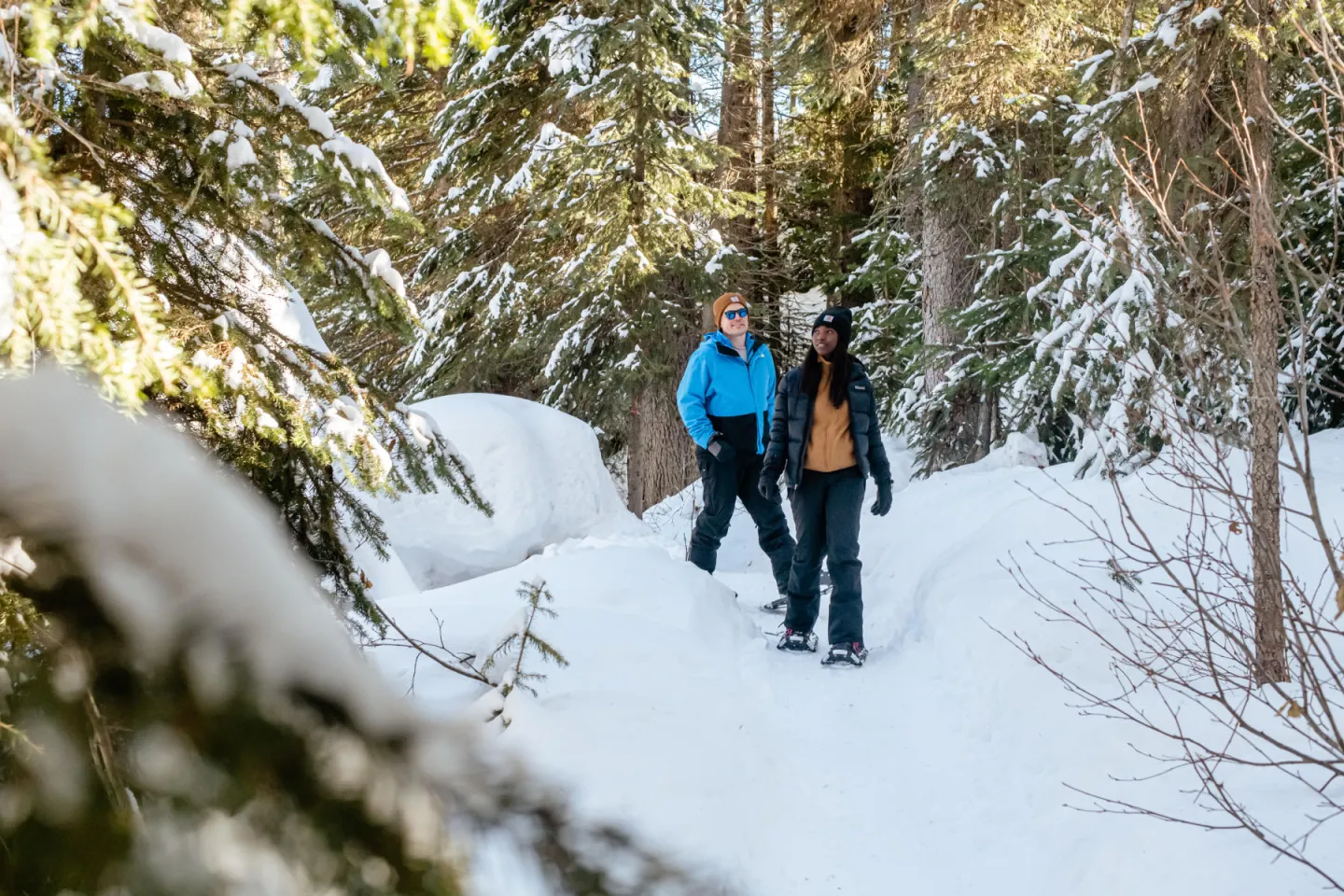 Two people snowshoeing through the forrest