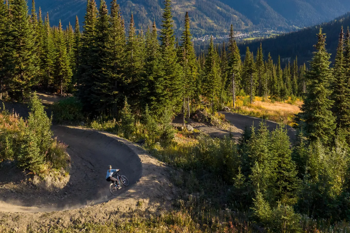 Cyclist on winding forest trail, surrounded by tall pine trees, with mountains in the background.