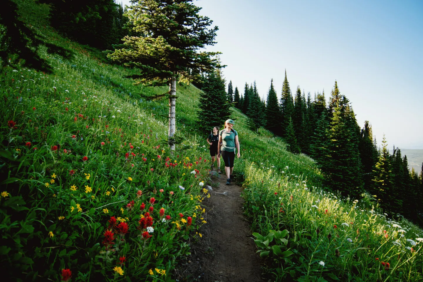 Hikers on a lush green trail surrounded by wildflowers and pine trees.