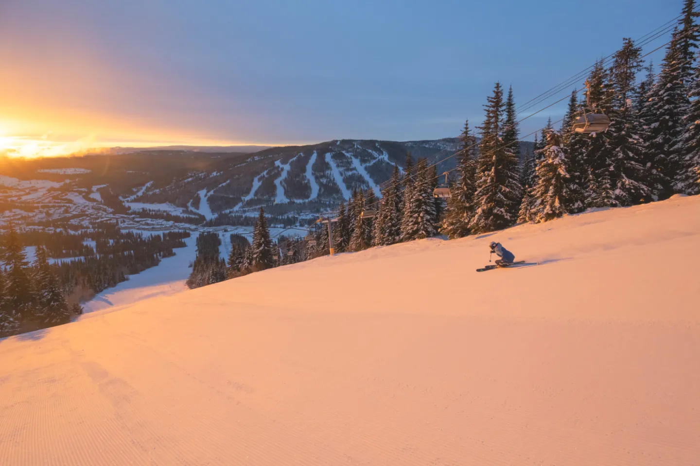 Snowboarder on a sunlit slope at sunset, with mountains and trees in the background.