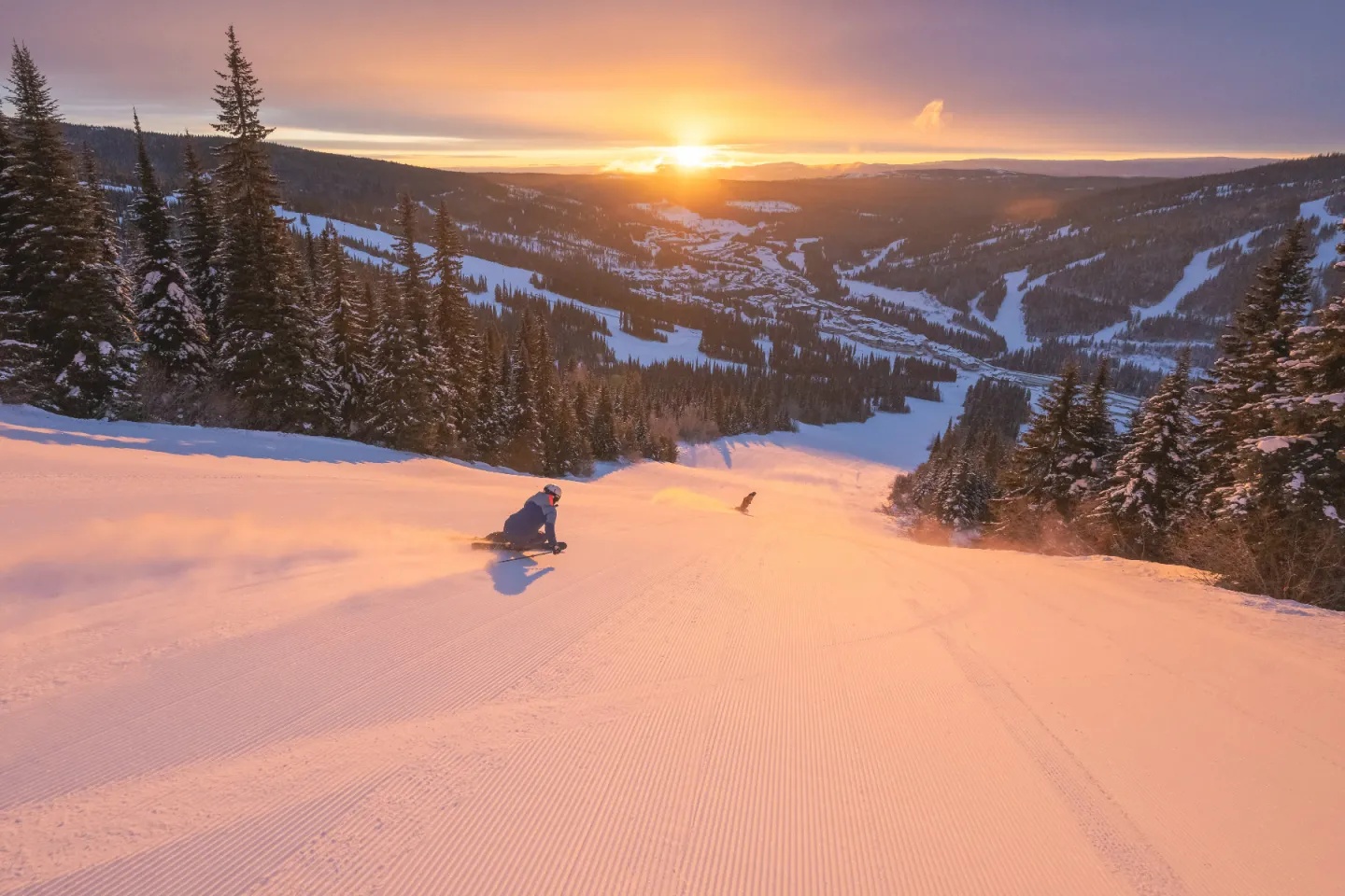 Skier on a snowy slope at sunset with pine trees and distant mountains.