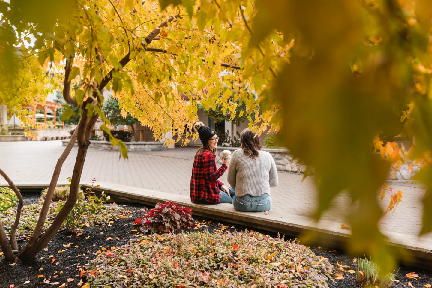 Two people sit on a bench under autumn trees with yellow leaves.