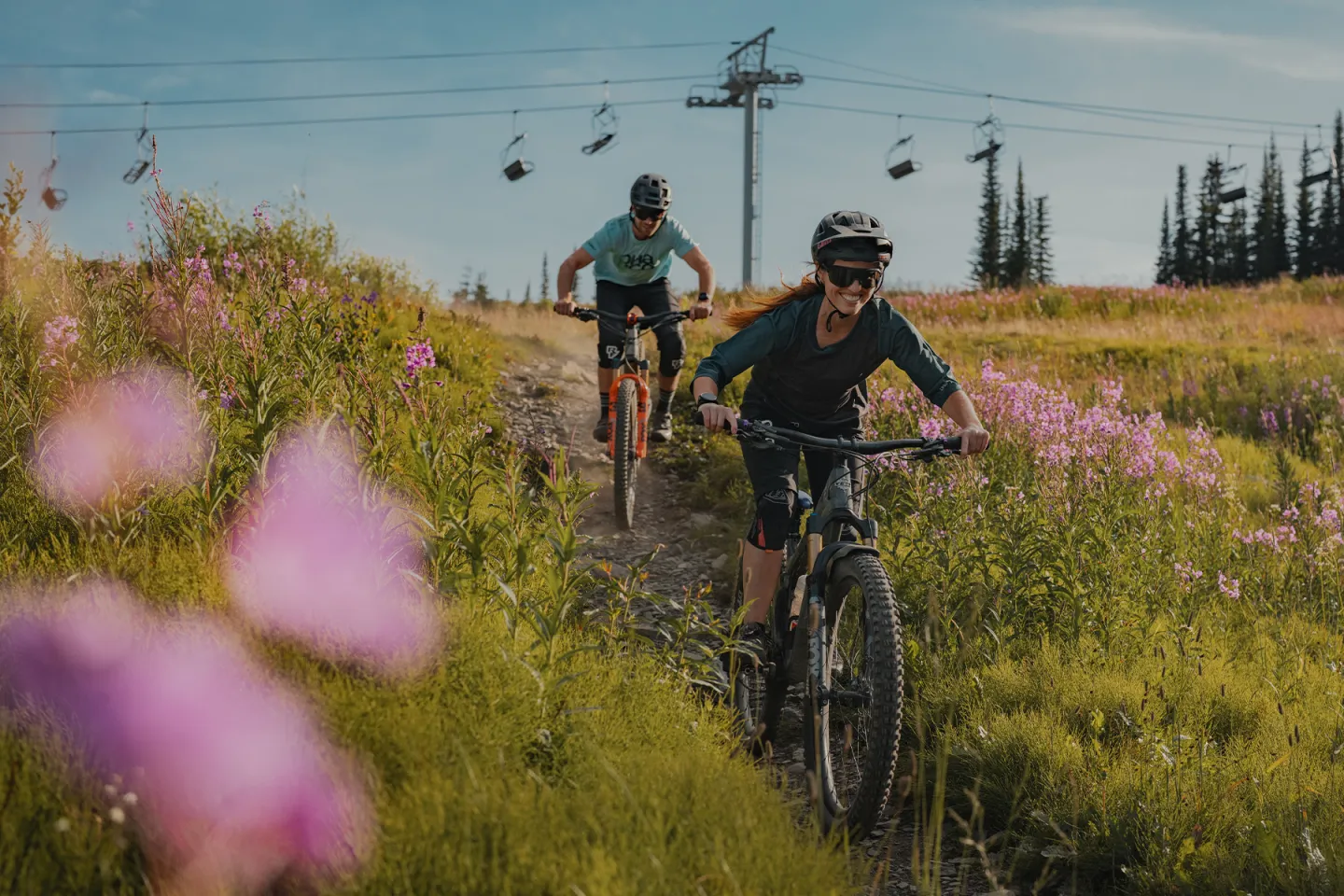 Two people mountain biking on a trail through a field of wildflowers.