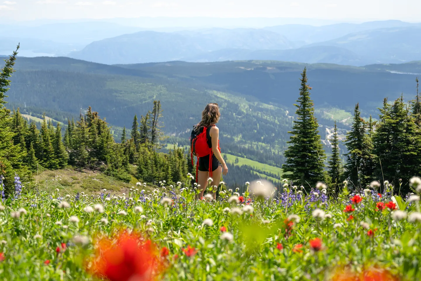 Hiker in red backpack walking through alpine meadow with wildflowers and mountain view.