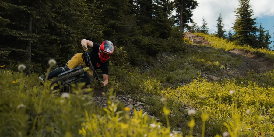 Mountain biker races down a forest trail surrounded by green vegetation.