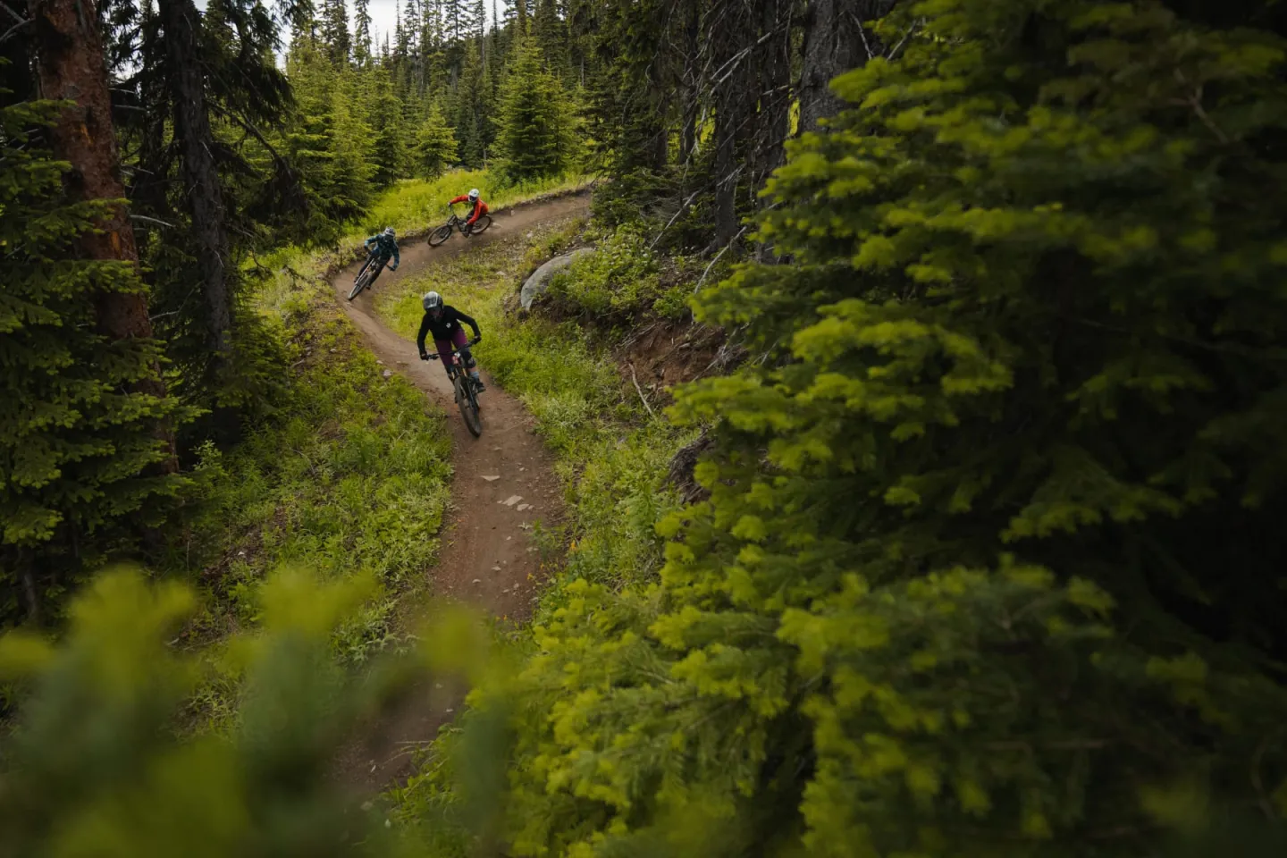 Mountain bikers racing down a forest trail, surrounded by lush green trees.