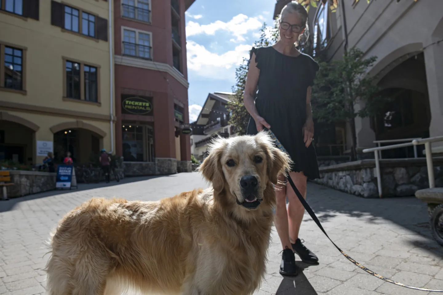 Golden retriever on a leash in a sunny street with a person walking nearby.