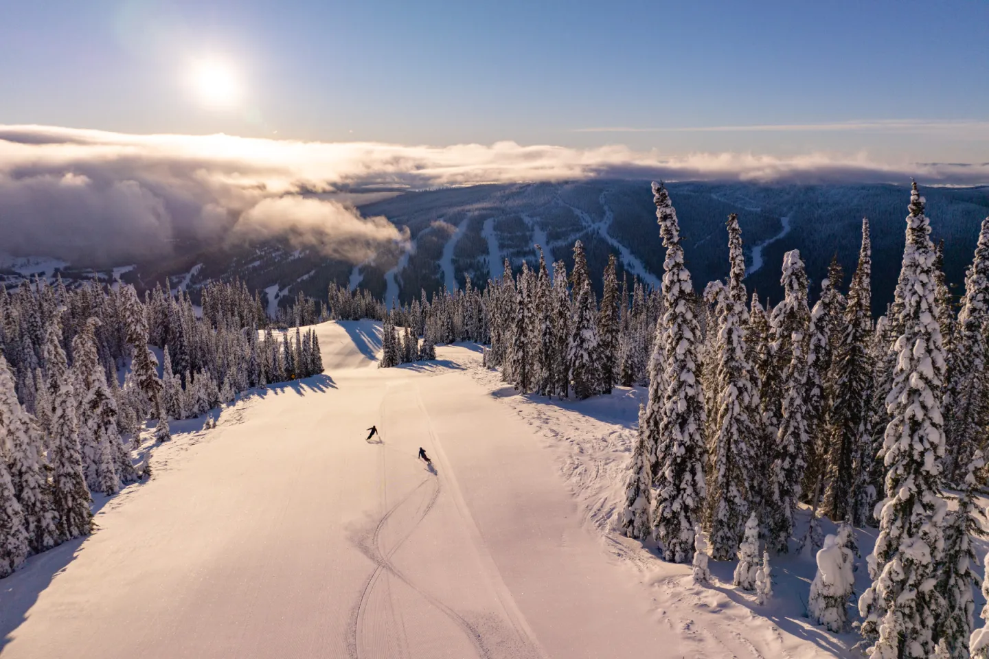Sunlit snowy ski trail winding through frost-covered pine trees.