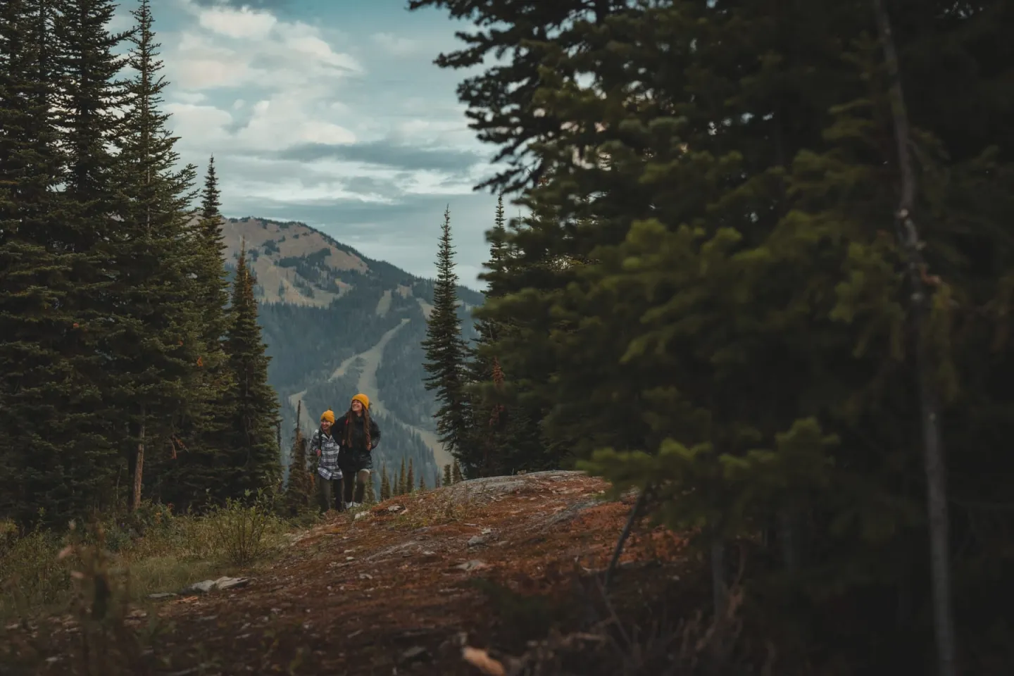 Two hikers walking through a forest with distant mountains.