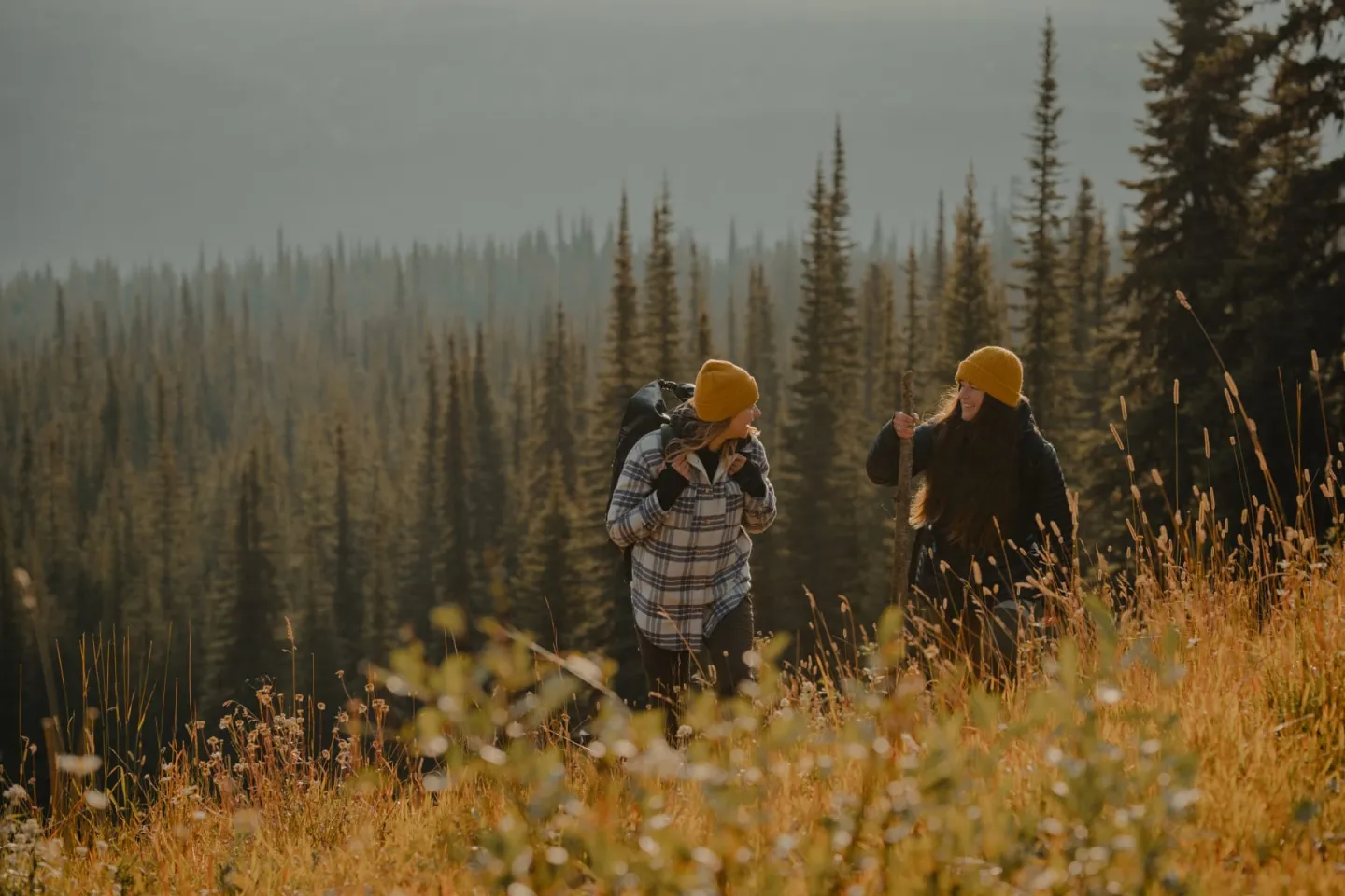 Two hikers in yellow beanies walk through a sunlit meadow beside a forest.
