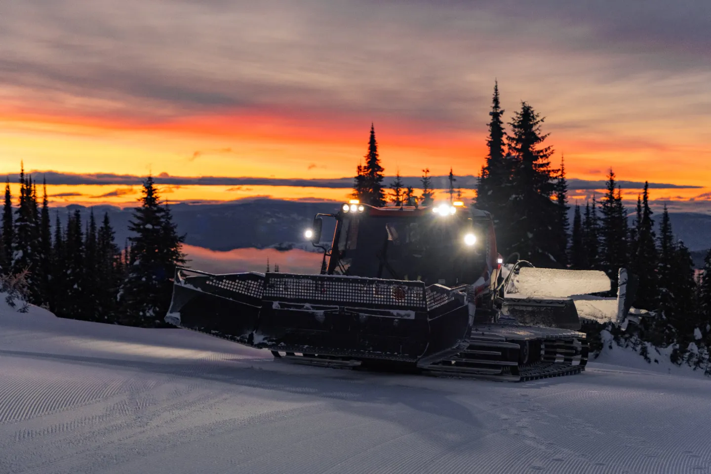 Snowcat grooming a ski slope at sunset among snow-covered pine trees.